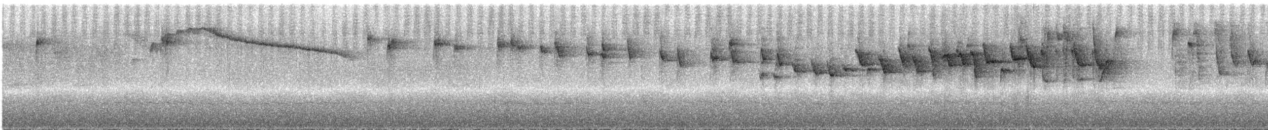 ミスジアメリカムシクイ（meridanus／bessereri） - ML287999