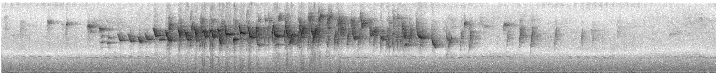 Dreistreifen-Waldsänger (meridanus/bessereri) - ML288000