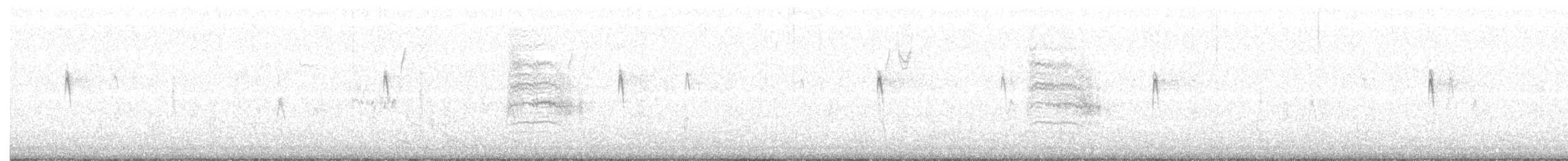 Northern House Wren - ML288051871