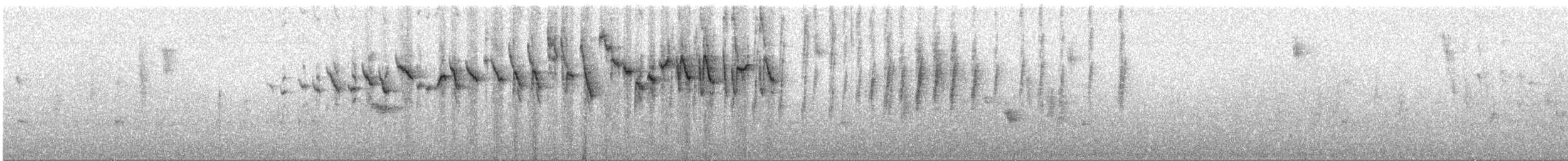 Paruline triligne (meridanus/bessereri) - ML288080