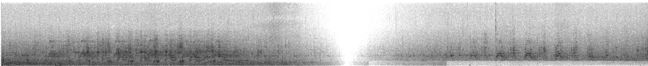 klippehopperpingvin (filholi) - ML288085351
