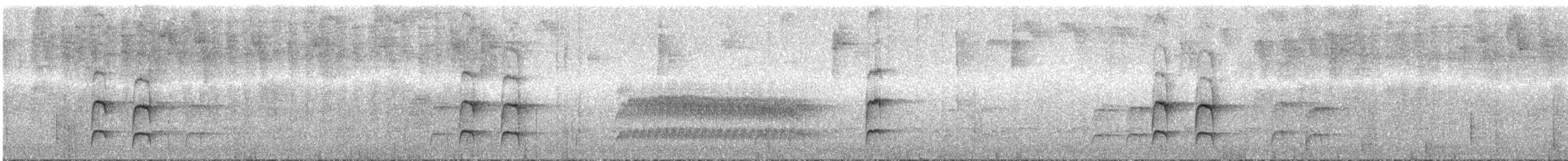 Rostdickichtschlüpfer (meridana) - ML288102