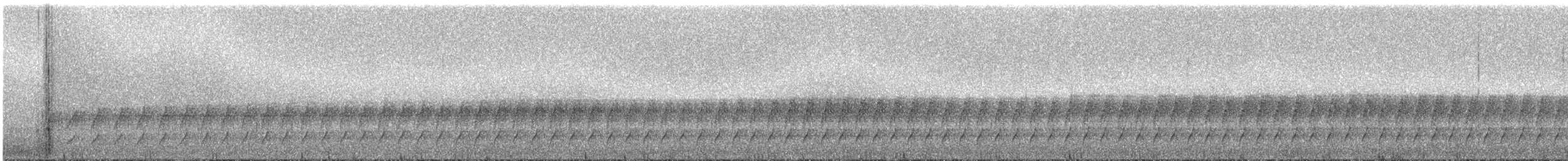 Méridatapaculo (fuscicauda) - ML288113