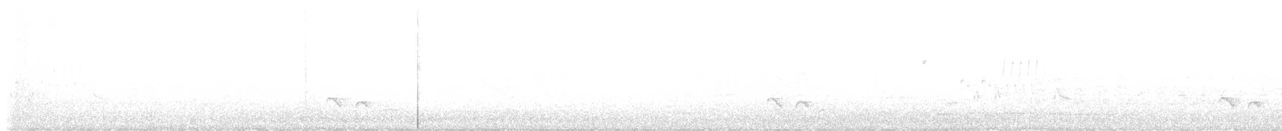White-crested Elaenia (Chilean) - ML288166731