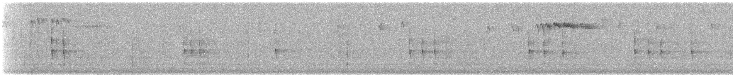 Winter Wren - ML288168261