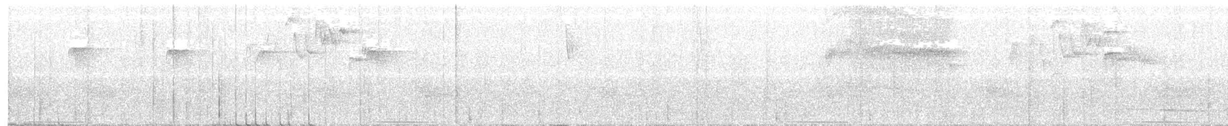 Белозобая перепелиная горлица - ML288235791