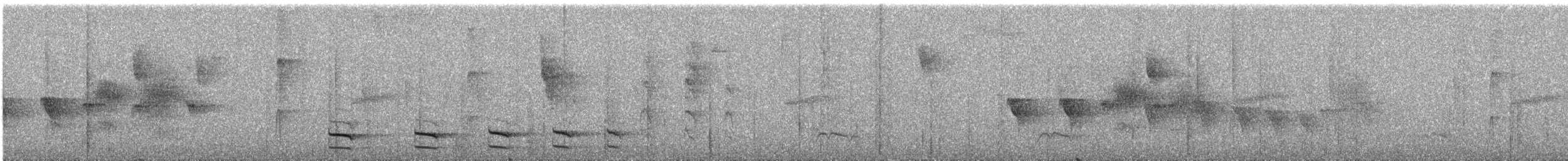 Uniform Antshrike - ML288261311