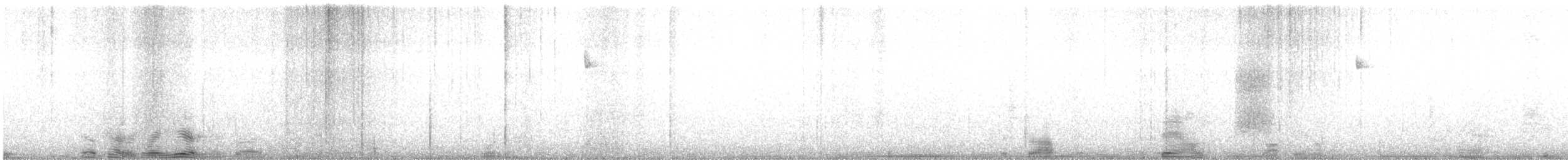 Moucherolle obscur - ML288271141