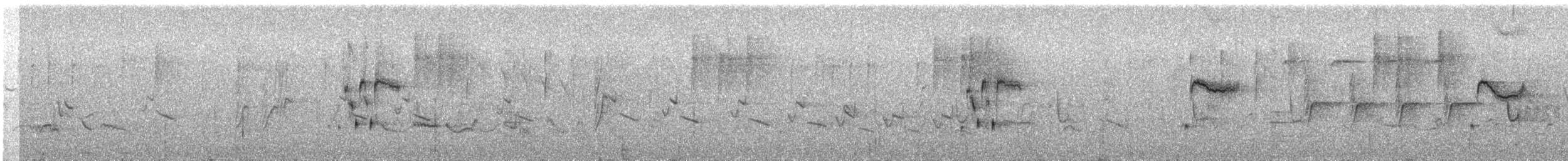 Iberian Gray Shrike - ML288288941