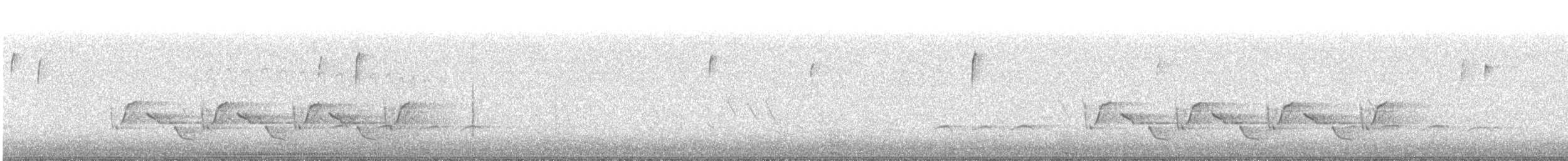 Поплітник каролінський - ML288300121