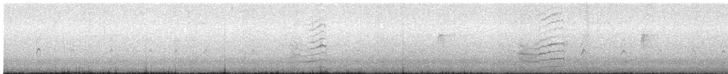 Spotted Towhee (oregonus Group) - ML288315711