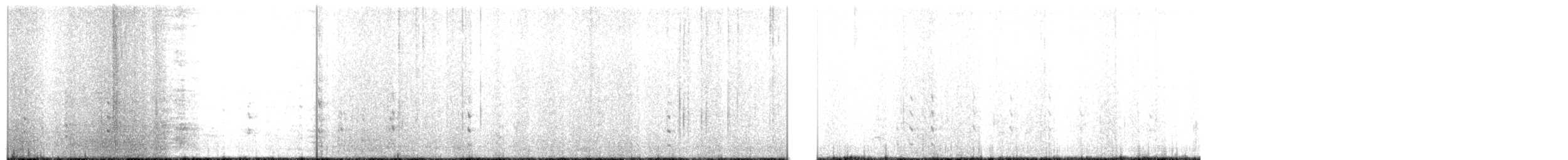 Red-breasted Nuthatch - ML288318681