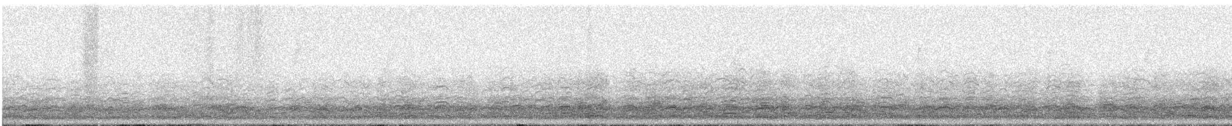 Oie des neiges - ML288354371