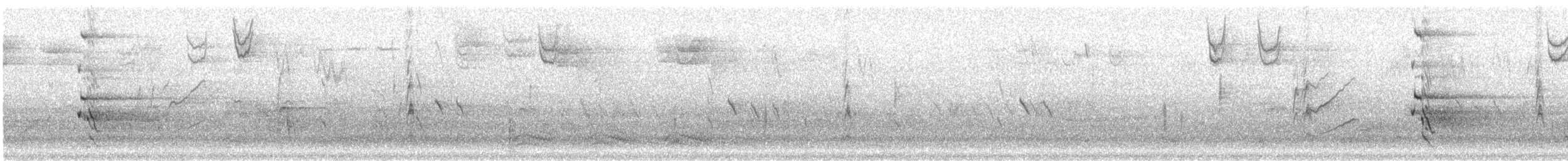 Northern Flicker - ML288358681