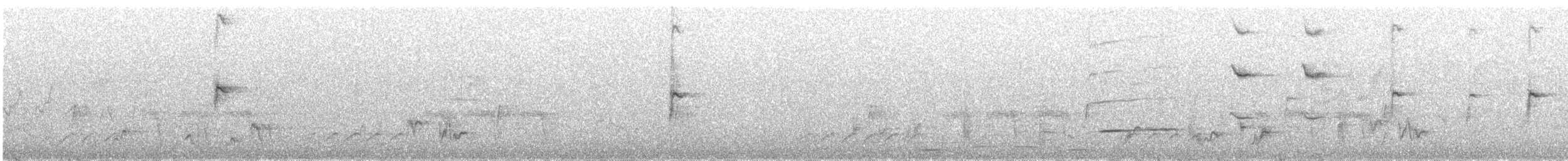 Шпак-куцохвіст рудочеревий - ML288368601
