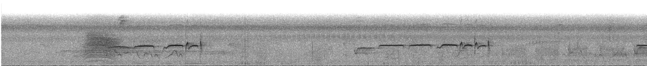 Northern Beardless-Tyrannulet - ML288370