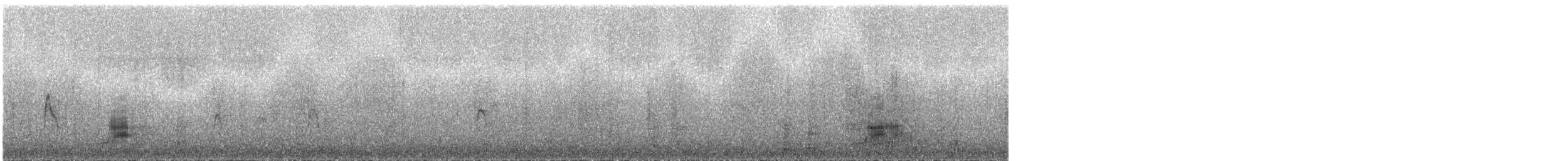 ברווז אפור (אירואסייתי) - ML288374