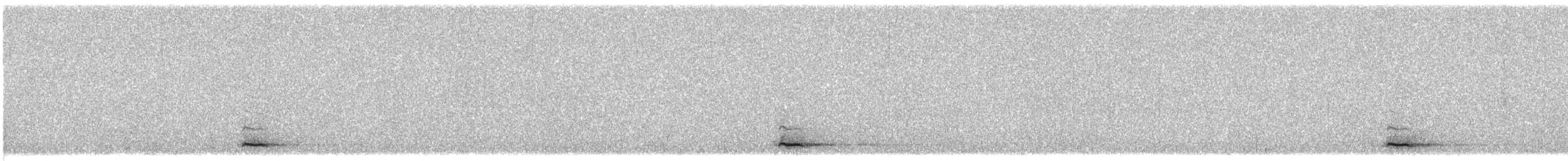 Northern Pygmy-Owl - ML288407621