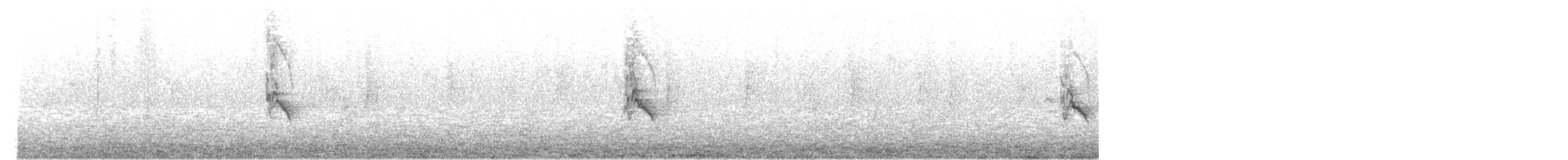 Белокрылая канделита - ML288412041