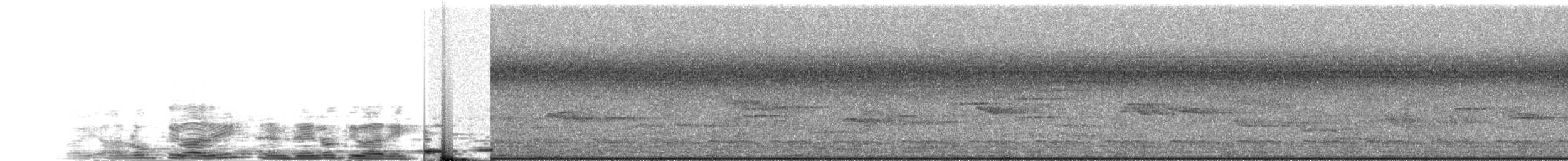 Arrenga siffleur (groupe flavirostris) - ML288423121