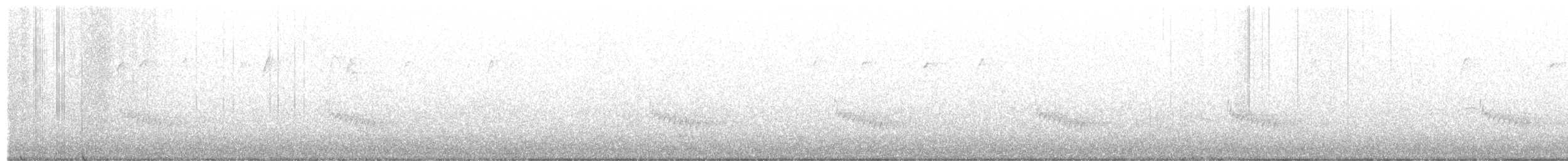 Carolina Wren - ML288473341
