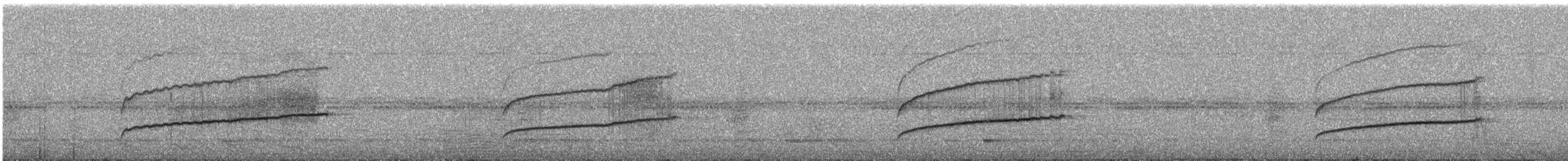 Тиран-крихітка сіроголовий - ML288480601