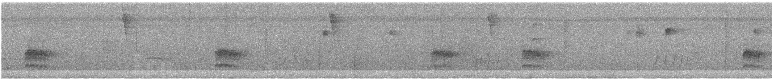 Dusky Antbird - ML288481851