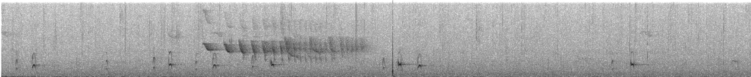 Shear-tailed Gray Tyrant - ML288484081