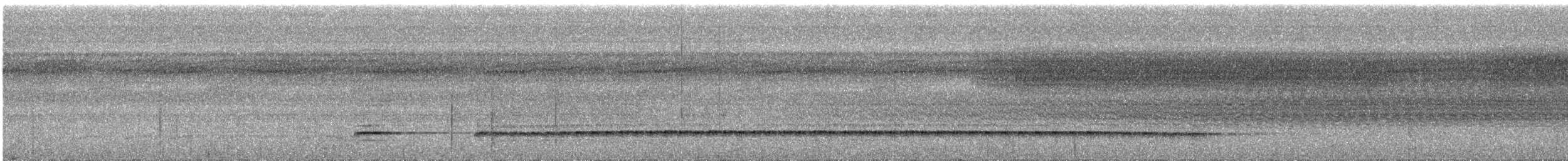 Graubrust-Ameisendrossel [analis-Gruppe] - ML288494841