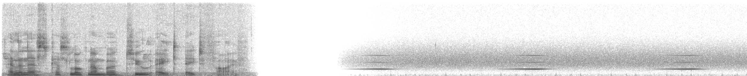 chřástal virginský (ssp. limicola/friedmanni) - ML2885