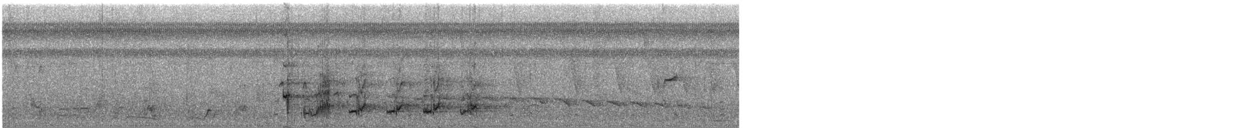 Amazone à lores rouges ou A. lilacée - ML288619