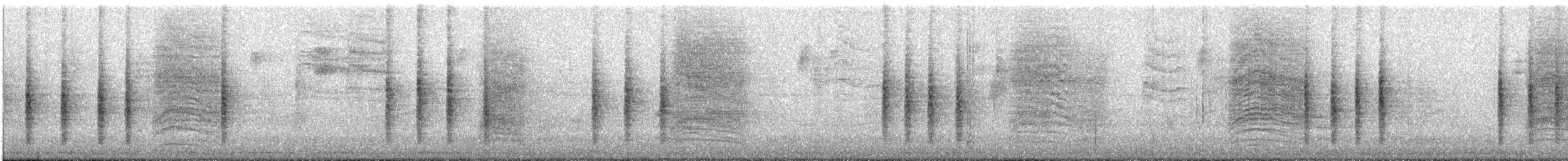 Northern House Wren - ML288708101