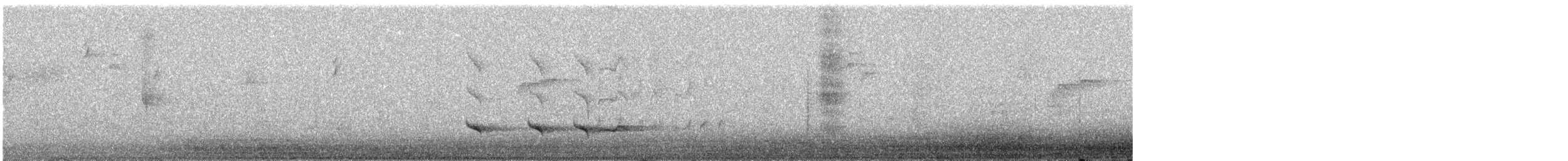 grånakkebekard (uropygialis) - ML288736281