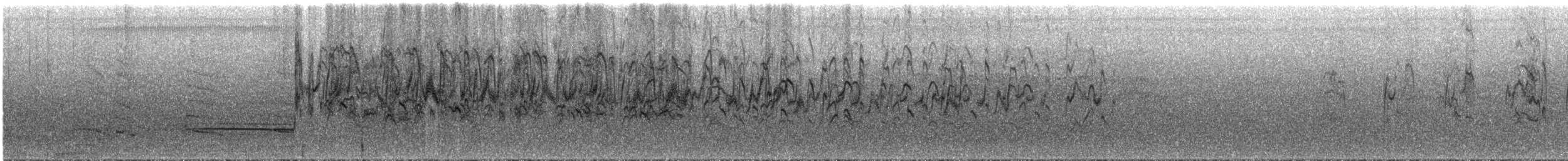 Halsbandsegler - ML288750