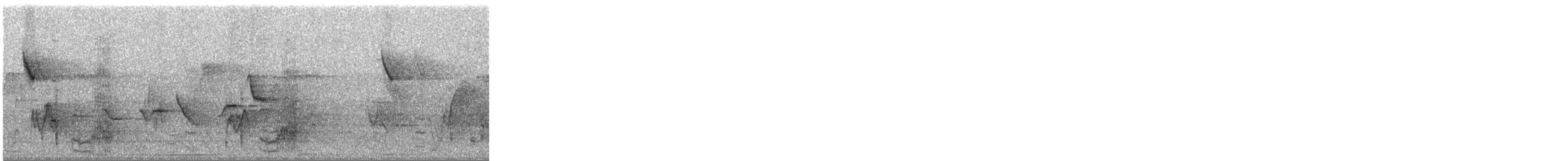 Amazone à lores rouges ou A. lilacée - ML288753