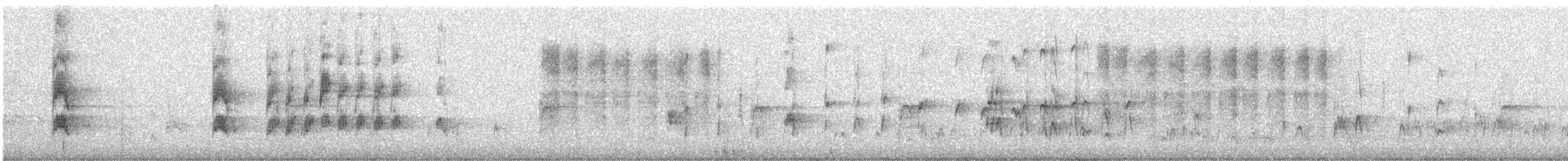 Red-cockaded Woodpecker - ML288820271