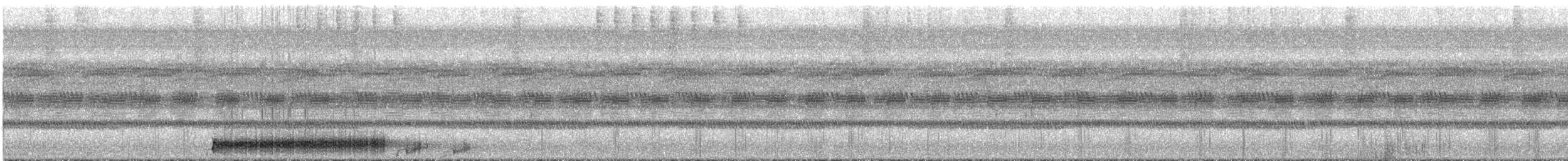 potu středoamerický - ML288866