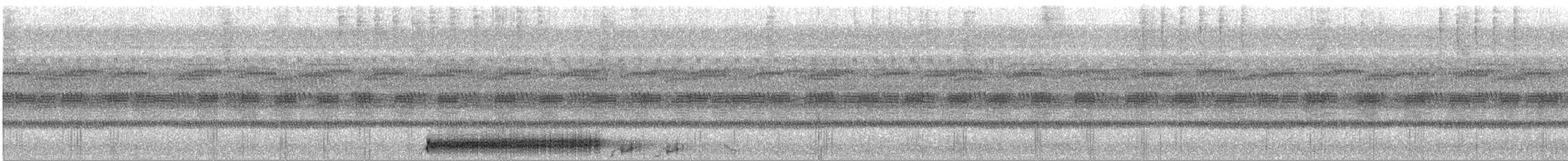 potu středoamerický - ML288867
