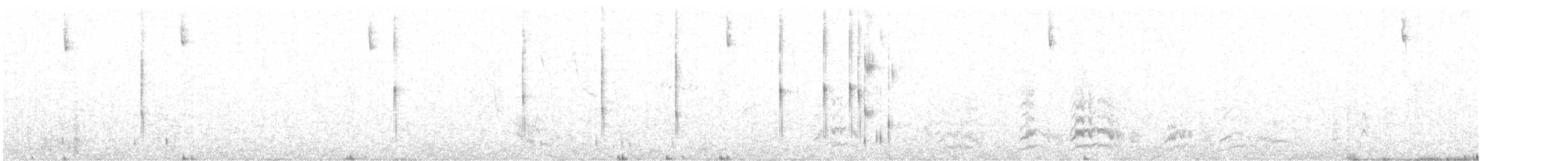 Weißflanken-Dunkeltyrann - ML288876211