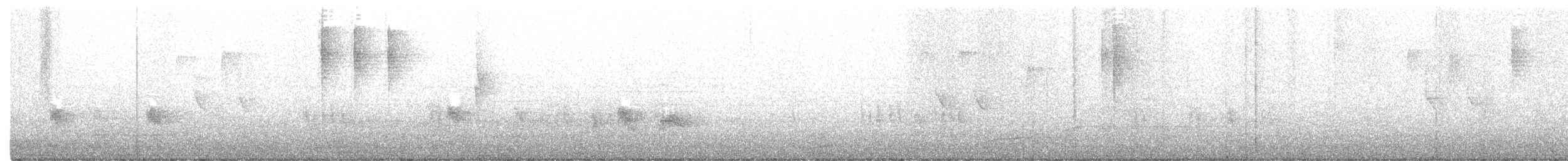 Papamoscas de David - ML288900151