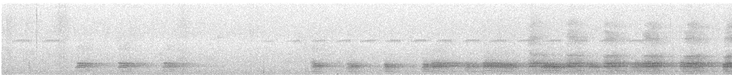 vrána tlustozobá (ssp. levaillantii) - ML288937111