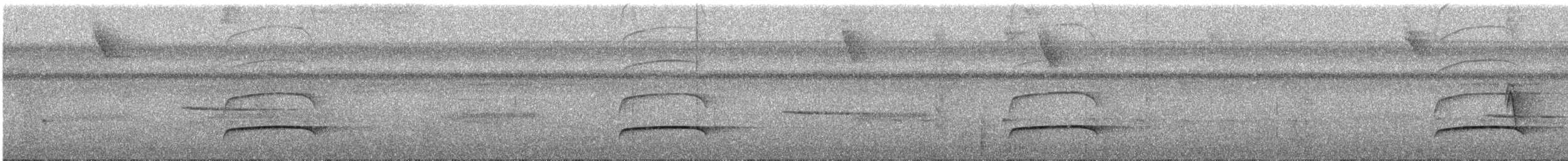 Темноголовый миарх (nigriceps/atriceps) - ML288949381