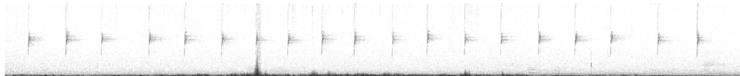 Dachsammer (leucophrys) - ML288975111