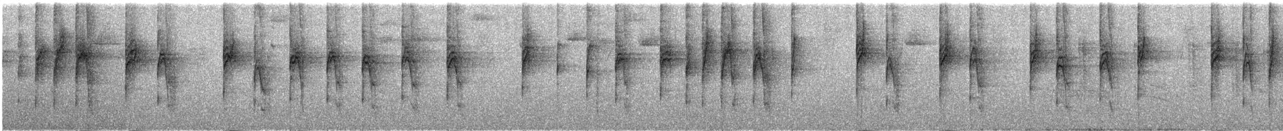 Gri Başlı Hemispingus - ML288980