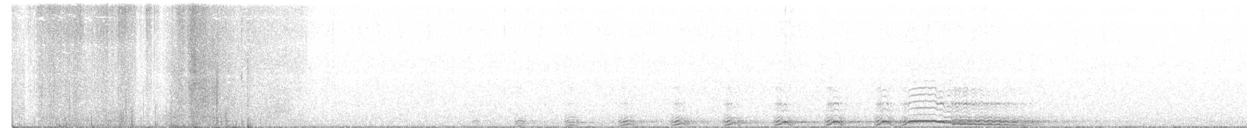 Barred Owl - ML288988861