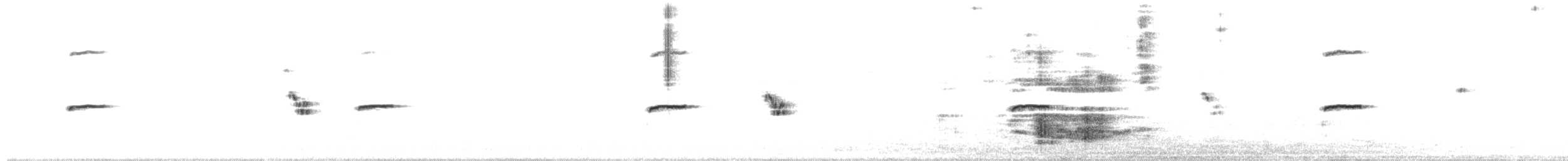Loggerhead Shrike - ML289027381