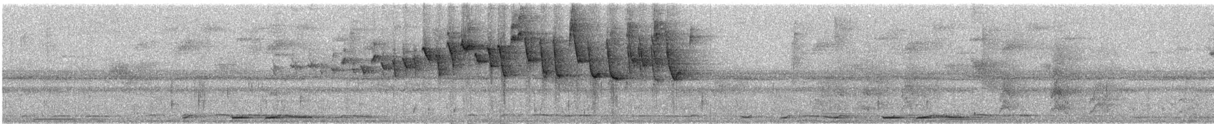 ミスジアメリカムシクイ（meridanus／bessereri） - ML289028