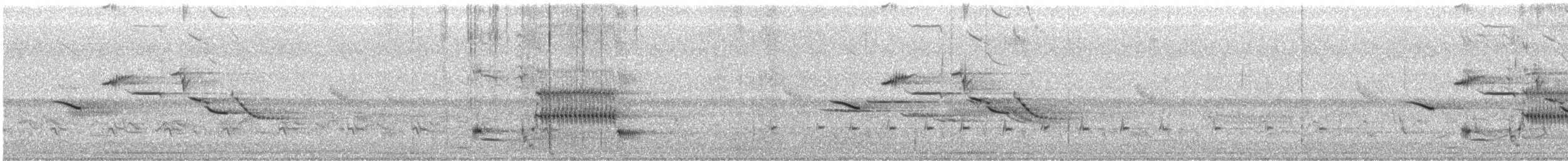 Sturnelle des prés - ML28905971