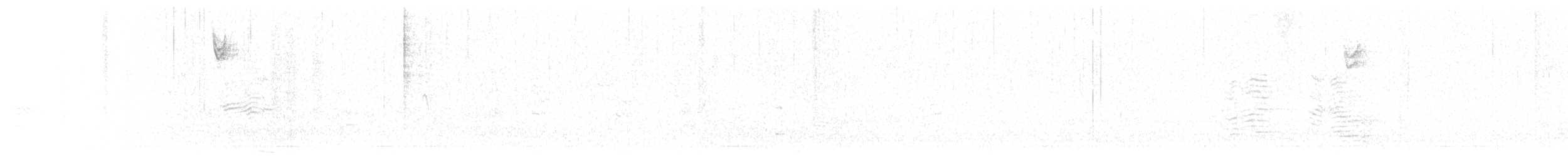 Белогорлая зонотрихия - ML289084981