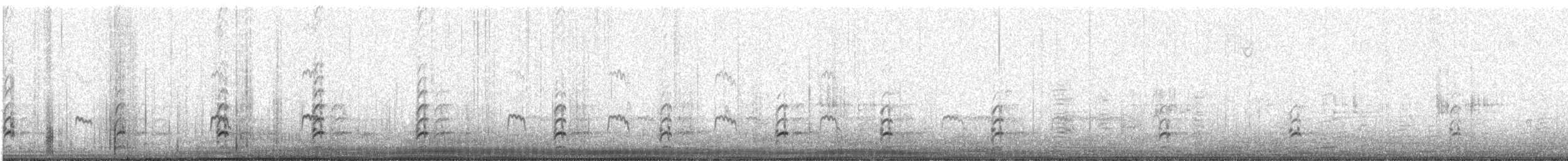 Schwarznacken-Stelzenläufer - ML289086991